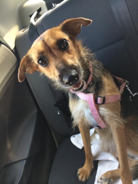 multimedia-foto35568-149-3