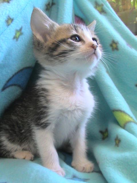 multimedia-foto35578-506-3