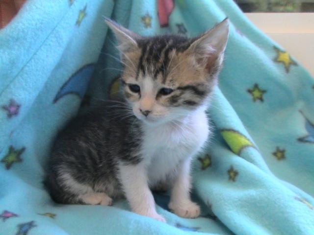 multimedia-foto35579-648-3