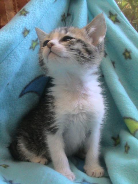 multimedia-foto35580-770-3