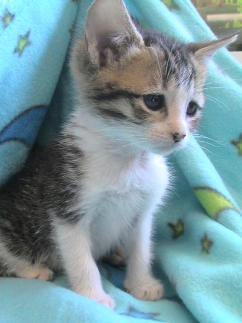 multimedia-foto35581-869-3