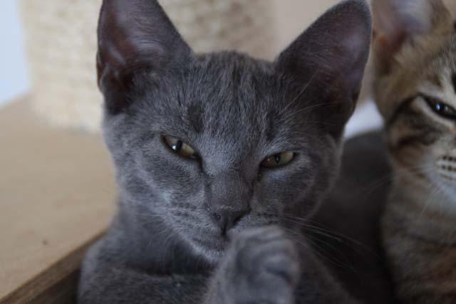 multimedia-foto35601-519-3