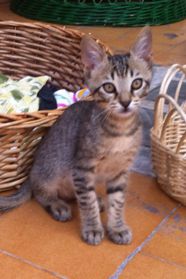 multimedia-foto35616-565-3