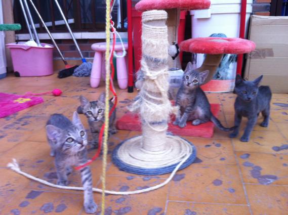 multimedia-foto35617-787-3