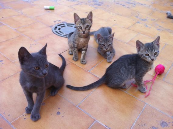 multimedia-foto35618-996-3