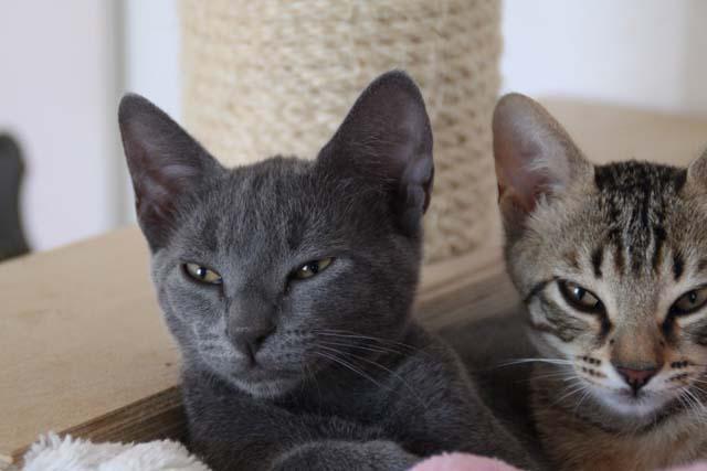 multimedia-foto35619-193-3