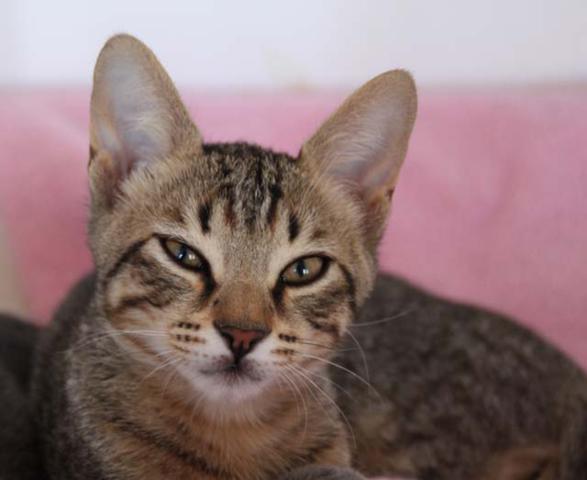 multimedia-foto35622-670-3