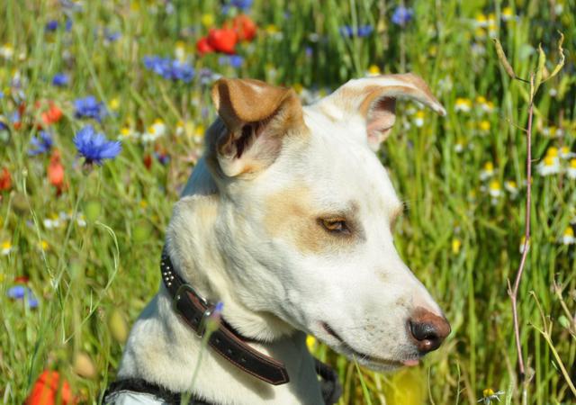 multimedia-foto35635-581-3