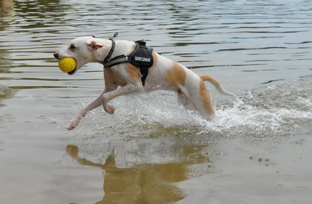 multimedia-foto35636-803-3