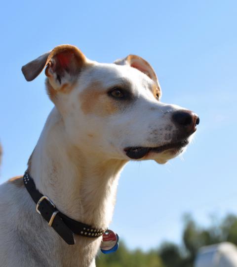 multimedia-foto35637-11-3