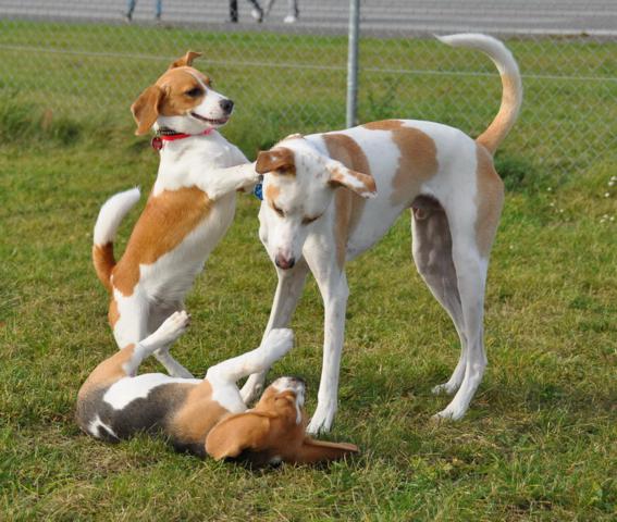 multimedia-foto35638-207-3