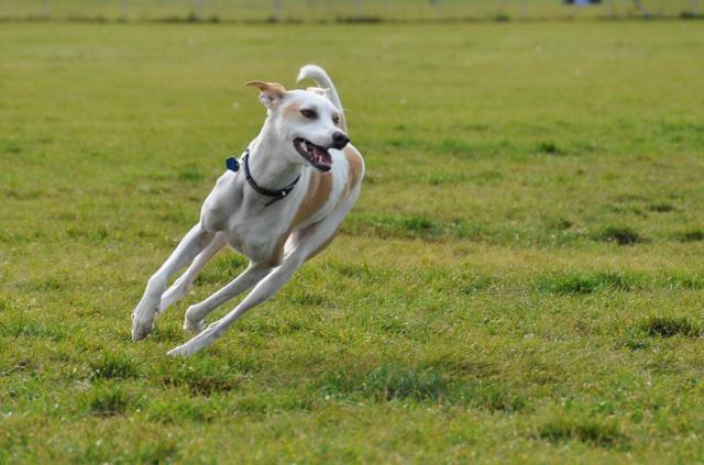 multimedia-foto35639-384-3