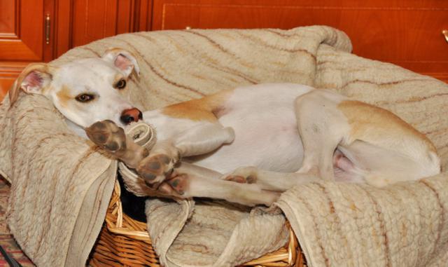 multimedia-foto35640-543-3