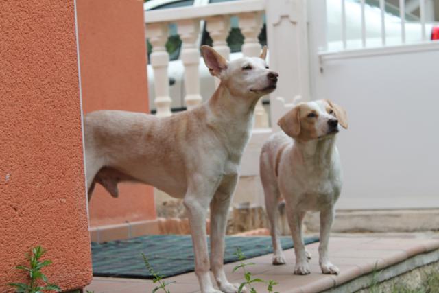 multimedia-foto35643-809-3