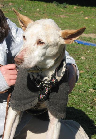 multimedia-foto35646-387-3