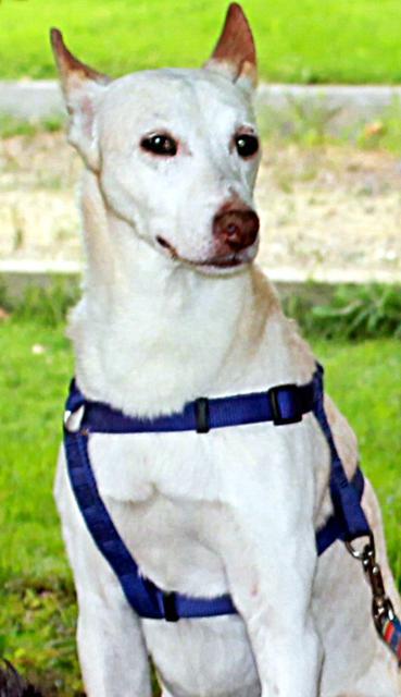 multimedia-foto35647-545-3