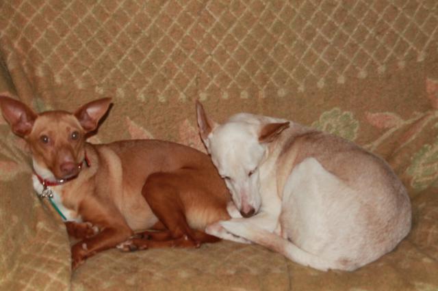 multimedia-foto35651-932-3