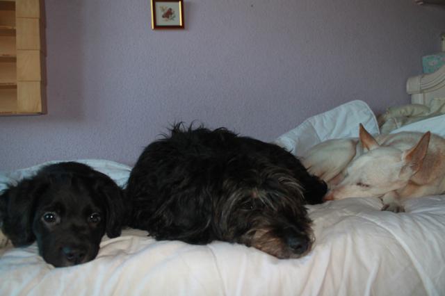 multimedia-foto35652-976-3