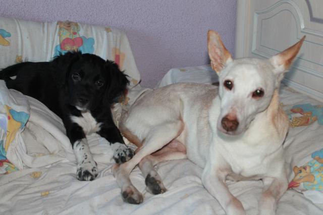 multimedia-foto35653-14-3