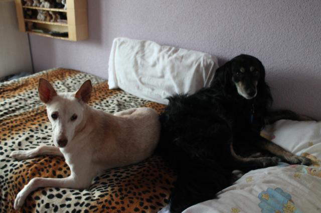 multimedia-foto35654-46-3