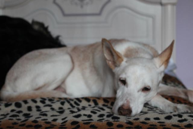 multimedia-foto35655-73-3