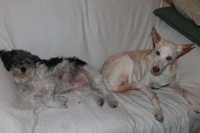 multimedia-foto35656-96-3