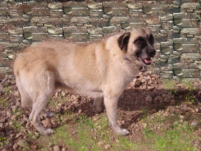 multimedia-foto35681-399-3