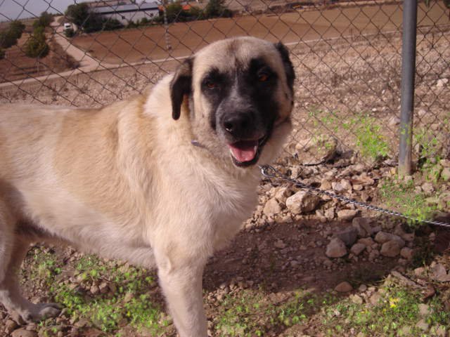 multimedia-foto35682-624-3