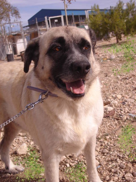 multimedia-foto35683-841-3