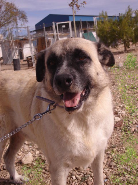 multimedia-foto35684-46-3