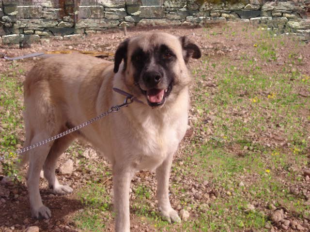 multimedia-foto35685-242-3