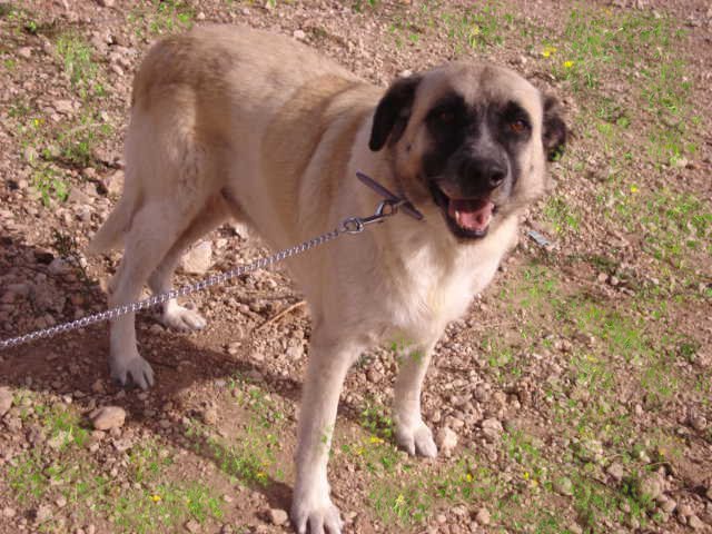 multimedia-foto35686-413-3