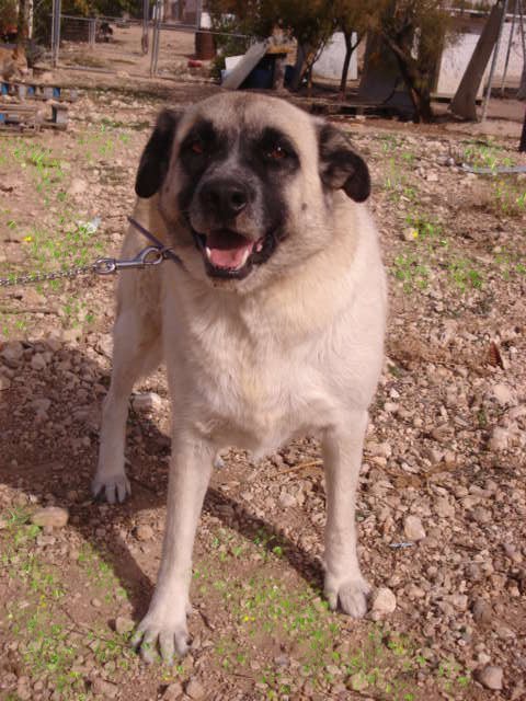 multimedia-foto35687-568-3