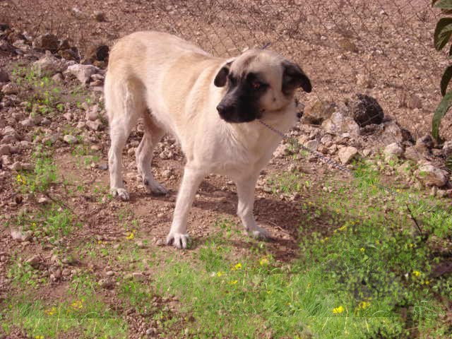 multimedia-foto35688-699-3