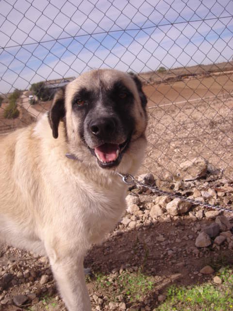 multimedia-foto35689-812-3