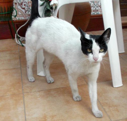 multimedia-foto35691-633-3