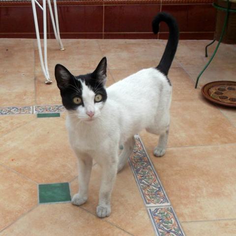 multimedia-foto35692-849-3