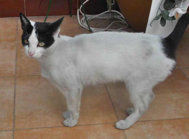 multimedia-foto35693-52-3