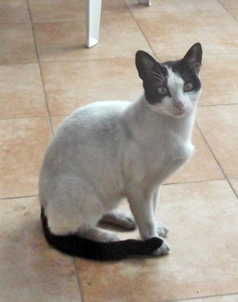 multimedia-foto35695-419-3