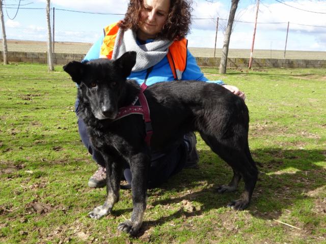 multimedia-foto35696-414-3