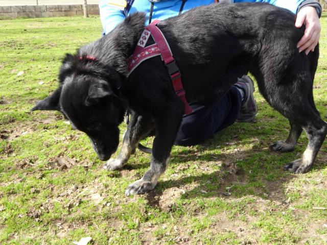 multimedia-foto35697-639-3