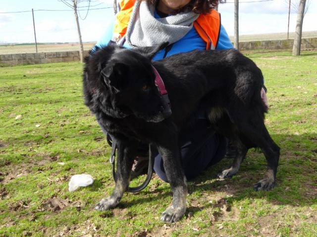 multimedia-foto35698-853-3