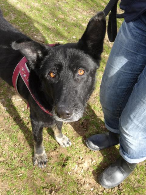 multimedia-foto35699-56-3