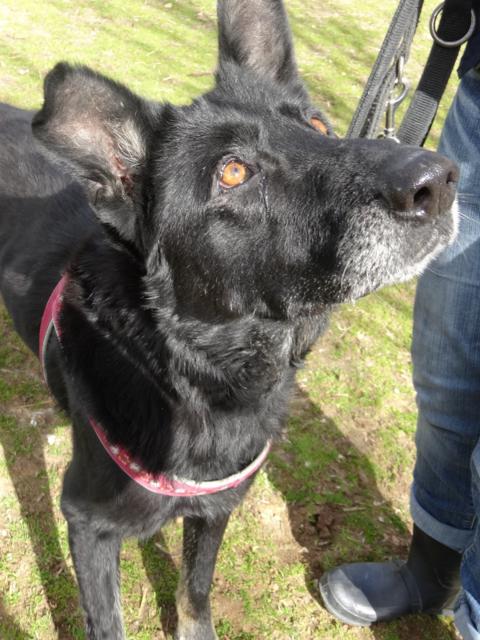 multimedia-foto35700-251-3