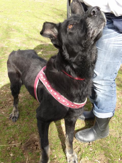 multimedia-foto35701-422-3