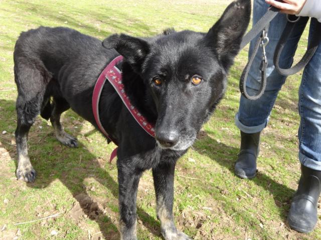 multimedia-foto35702-576-3