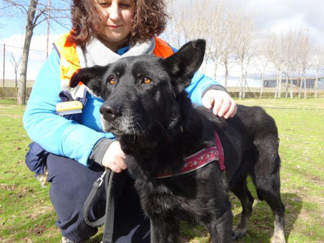 multimedia-foto35703-707-3