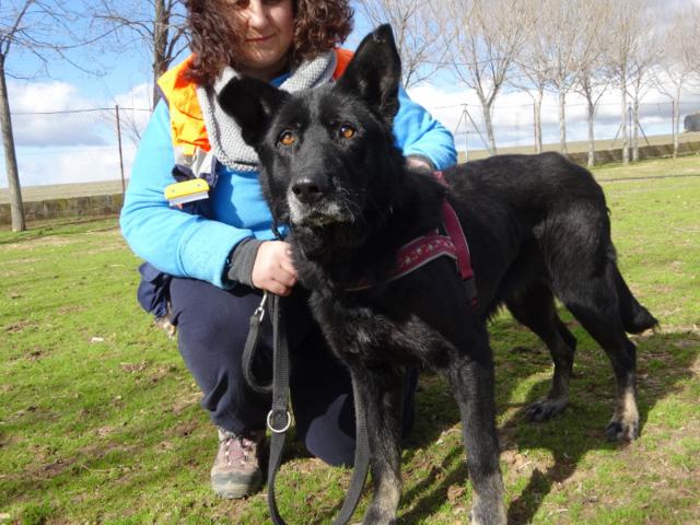 multimedia-foto35704-819-3