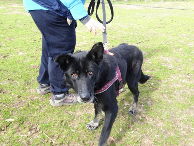 multimedia-foto35705-894-3