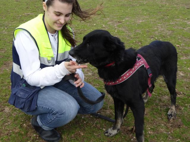 multimedia-foto35706-942-3